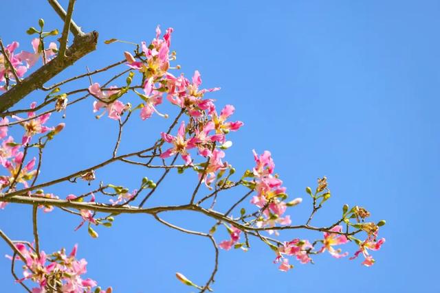 海防遗址+落日栈道，东海小众漫游地！