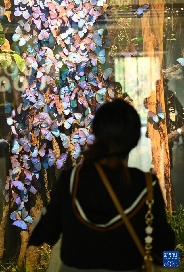 走进西北农林科技大学博览园