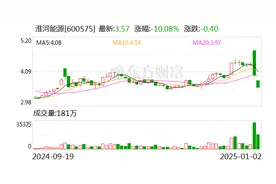 淮河能源重组复牌陷入跌停 股东榜或有“牛散”藏身图片