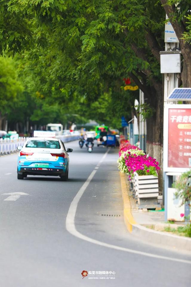 临夏市：一座把“浪漫”写进马路牙子的城市