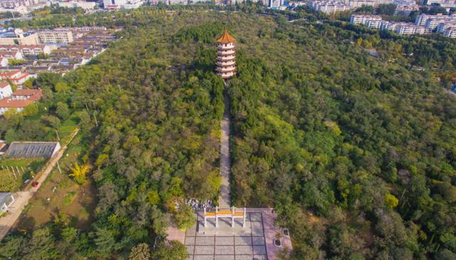今日立冬！三个仪式解锁肥城初冬的终极浪漫！