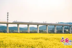 时评：“钢铁动脉”托举春日经济绽放新活力图片