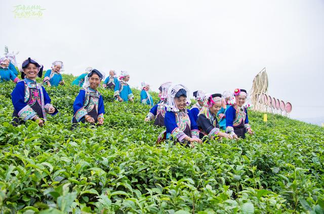 阳光黔西南：县县有妙招 文旅活力足