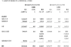 V观财报｜“电驴”变局：雅迪一年少卖350万辆，九号毛利率大增图片