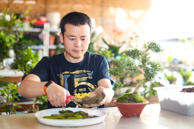 看烟花、观花海、造微缩园林......去柏加镇感受8种趣味玩法