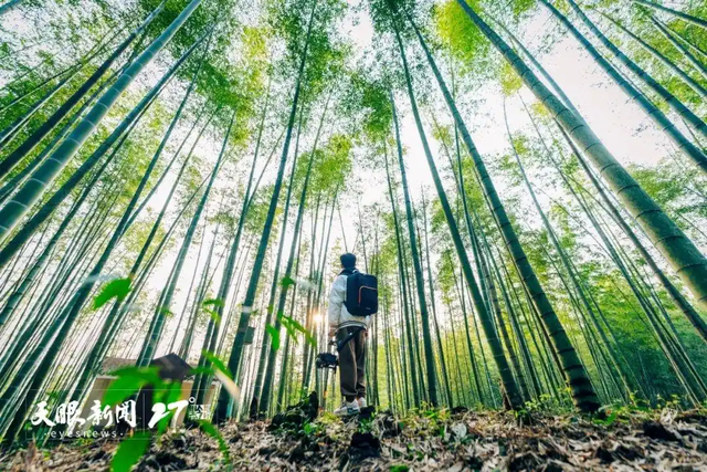 天然疗愈场！“山地公园省”迈向康养高地