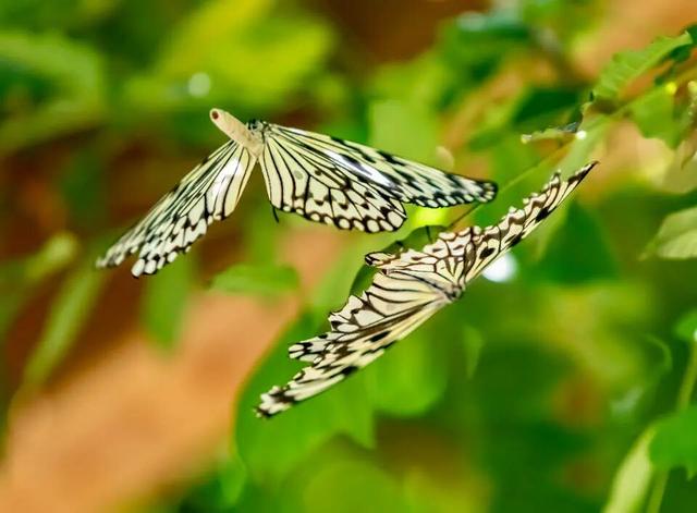 家人们谁懂啊！沂水的冬天也太会了吧，各大景区玩出神仙体验～