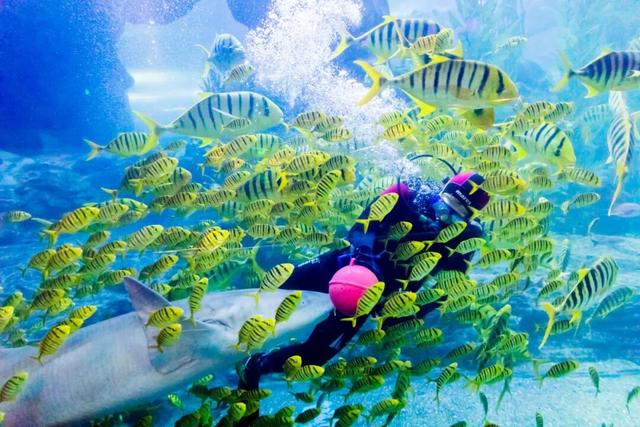 到青岛的火车、飞机票根别扔，近700项专属福利等你领！