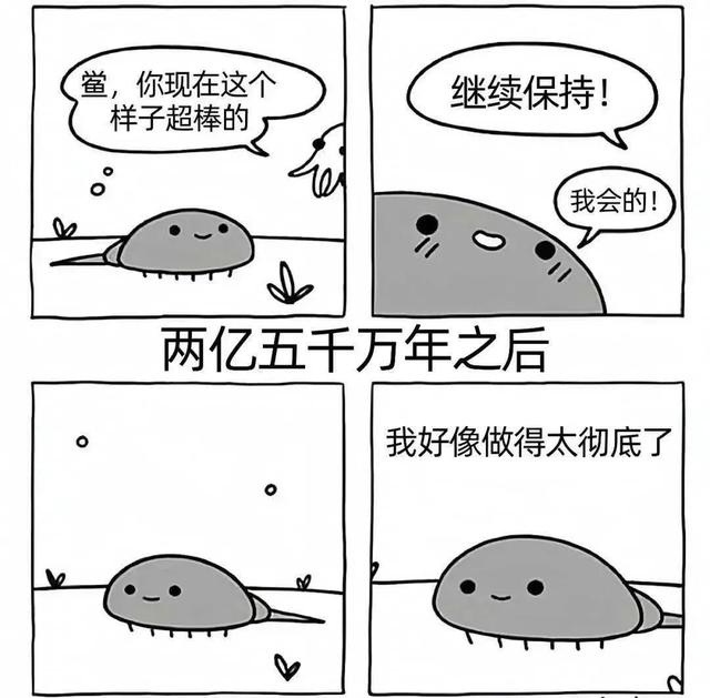 鲎：初号机真的好用