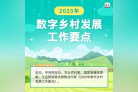 中经评论：为强村富民插上“数字之翼”图片
