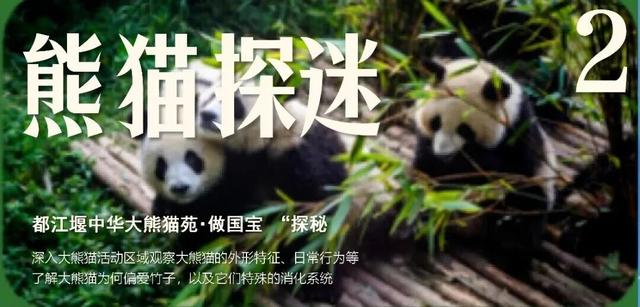 【2026成都冬令营】雪韵蓉趣，嗨玩蜀冬：解锁巴适成都生活！