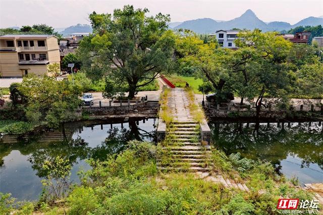 跟着网友游桂林丨大圩镇上桥村：水墨般的古村，藏着你向往的宁静