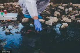 致癌、致畸、致突变！面对核废水，我们如何保护下一代？图片