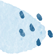 张坝桂圆林不一样了！观光车只需1元，还有惊喜等你开启→