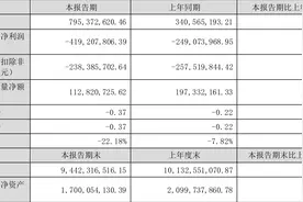 皇庭国际：2023年上半年亏损4.19亿元图片