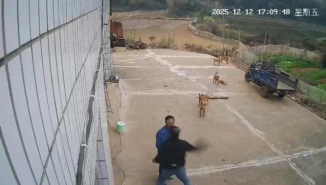 江西宜丰一村民被邻居一拳打倒在地	，警方通报：涉事双方因养狗问题发生冲突，双方均有受伤