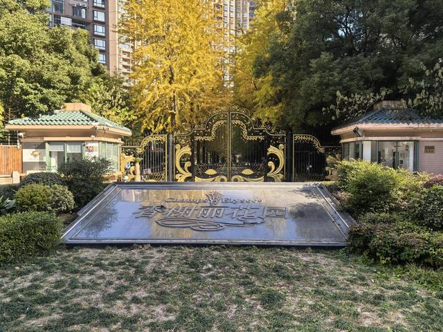 写点生活｜魔都小区，藏着晚秋初冬的金韵
