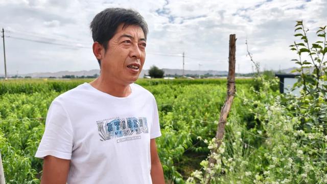 “桃”醉计划！周末不妨来这里“桃”个开心！