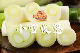 黄河大集·24道风味｜小雪收葱图片