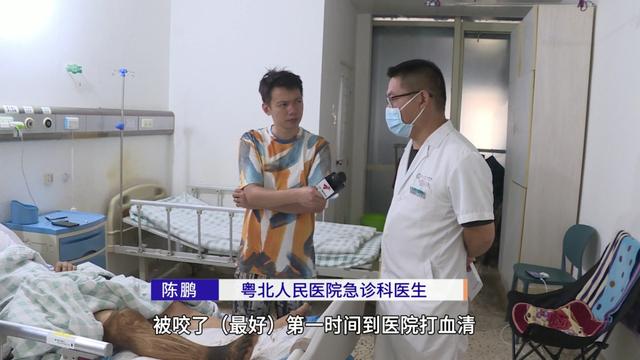 8岁男童昏迷9小时险丧命！医生靠脚踝俩小红点揪出“元凶”
