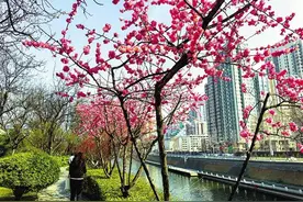 陕西春日赏花地图来了图片