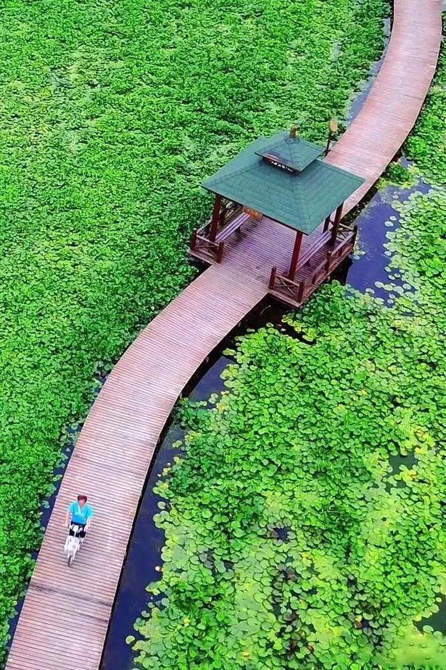 本周末，崇明开启水陆双玩法！还有免费福利，尽情来high~