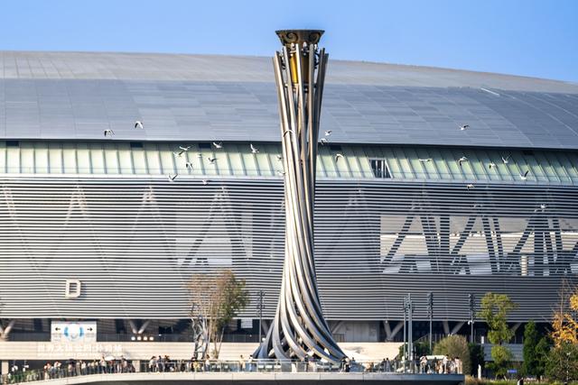 暖阳伴鸥舞 东安湖畔享周末好时光