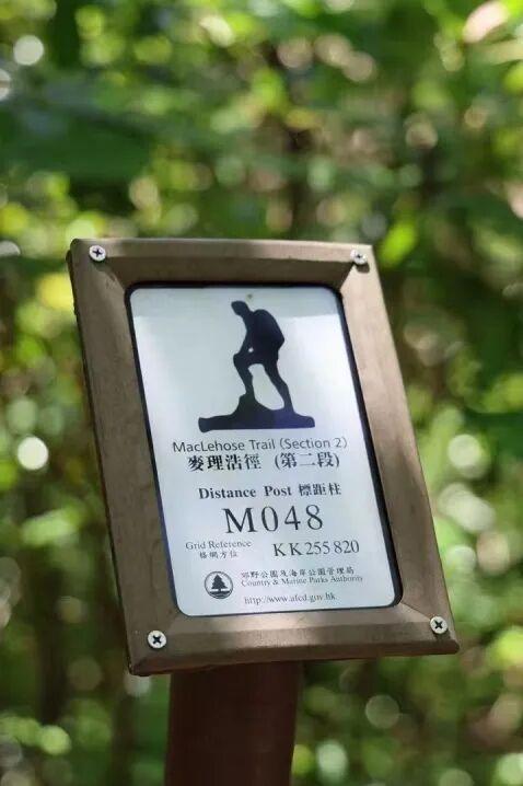 从高铁站步行几分钟，出境了！网友：原来如此丝滑