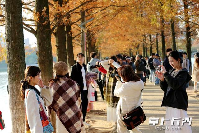 又是艳阳天，打卡人如潮｜组图