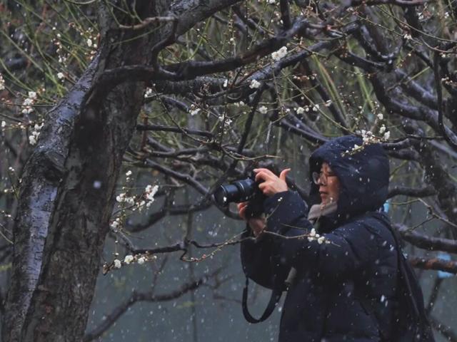 上海市中心超过200株梅花初绽！就在这个免费公园→