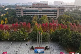 你要再不来，就辜负农大的最美校园“枫”景了图片