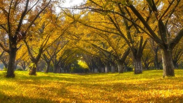 赏美景、吃早茶！长三角首趟泰州美食专列从上海站发出，600余名游客开启三天两晚“慢生活”