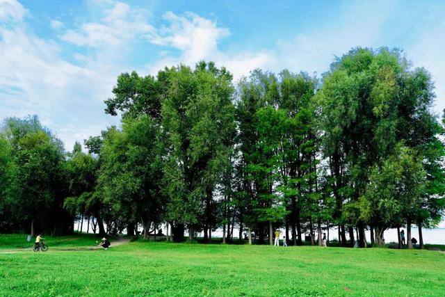 大理最治愈的129公里：这个夏天，在洱海边找到生活的解药