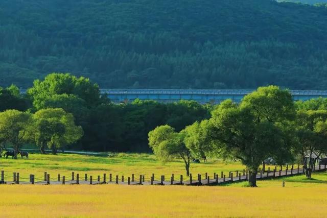 【金秋秘境·漫游奇遇】星空野宿——秋幕下的自然疗愈之旅