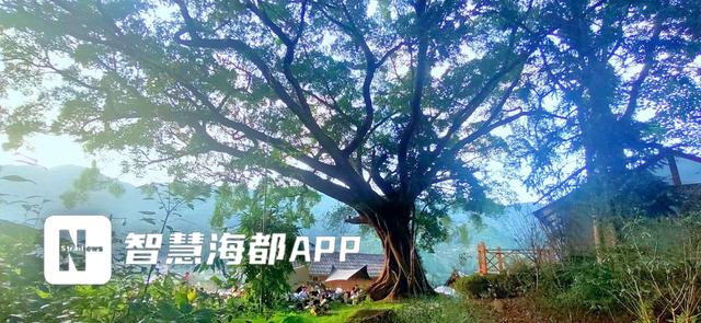 打卡“省会生态后花园”，永泰“双节”放大招