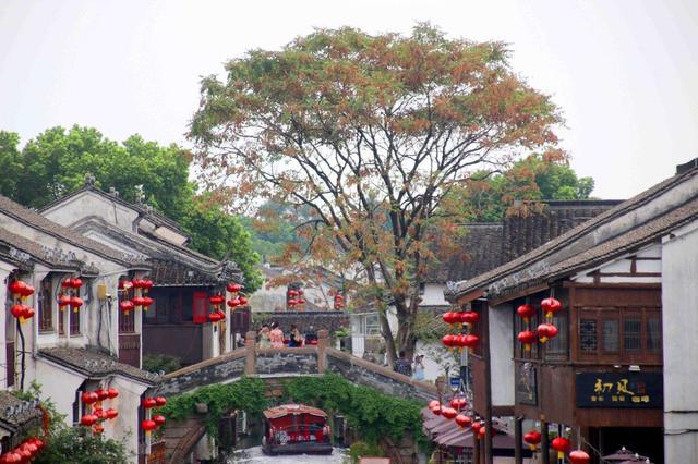 江苏苏州：山塘古街 秋意渐浓
