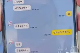 韩国客机起火前乘客聊天记录曝光：我们无法降落，因为一只鸟卡在机翼里图片