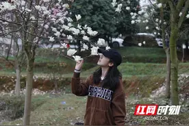 邵阳市北塔区：玉兰花开春自来图片
