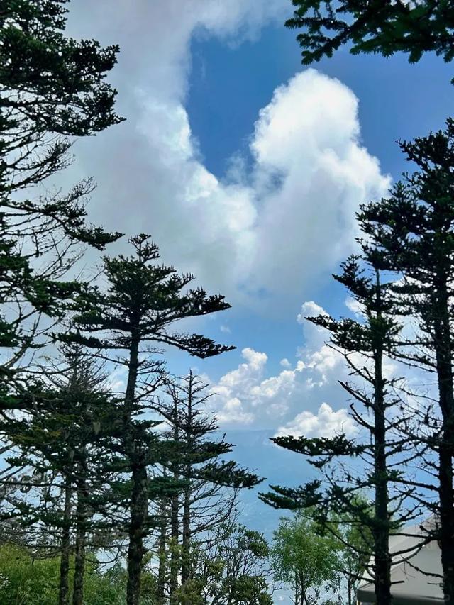 七夕，送TA一场凉山行