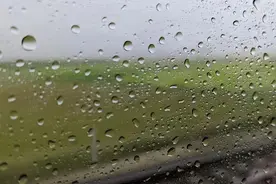 久旱逢甘霖！河南多地等来降水图片