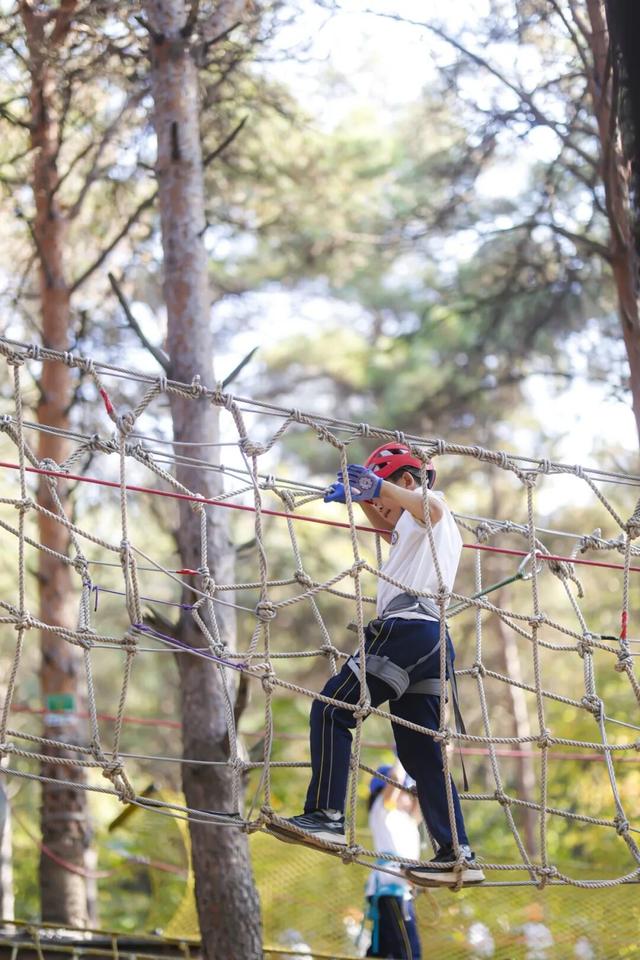 通知：森林探险乐园闭园倒计时3天！燃情初冬探险+“森”呼吸 定格成长…