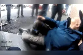 “神犬小七”，立大功了！图片