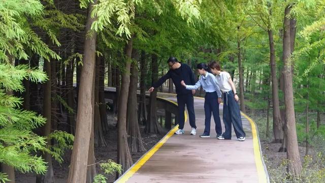 崇明“国际湿地城市”24小时：白天跑马拉松，晚上遇扬子鳄、看银河，太治愈了！