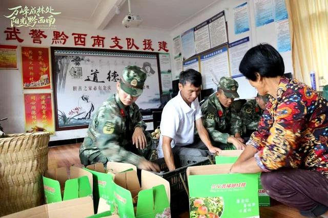 路与人｜茶马古道看履道坦坦