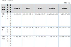 “国民鞋王”贵人鸟更名！退出“丰衣”专注“足食”图片
