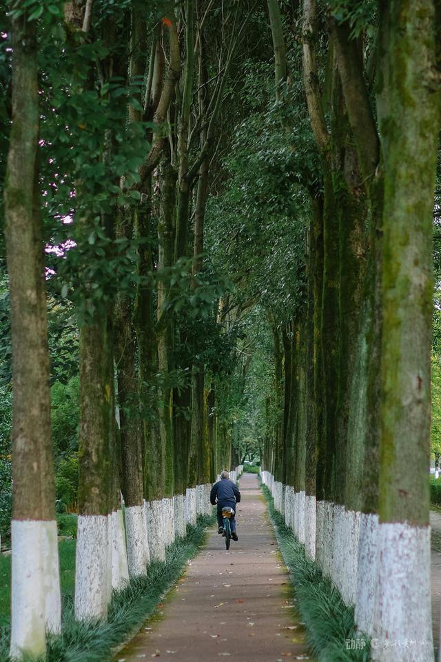 来“爽居”心仪之地贵阳，共赴一场跨越山海的热情相约