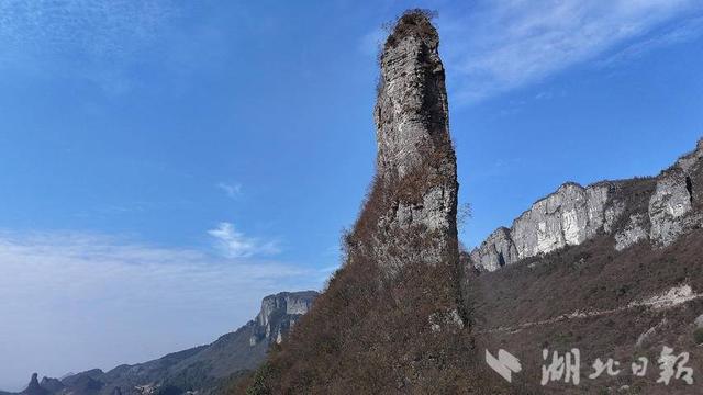 恩施市：朝天雄笋凌冬立 板桥奇景入画来
