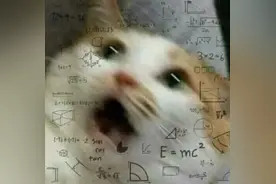 上海小囡考上北大，父亲单位奖30万！冲上热搜，企业回应图片