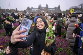 （外代一线）荷兰：庆祝郁金香日图片