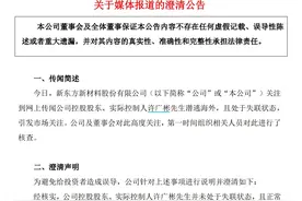 V观财报｜实控人许广彬潜逃海外、失联？东方材料澄清图片